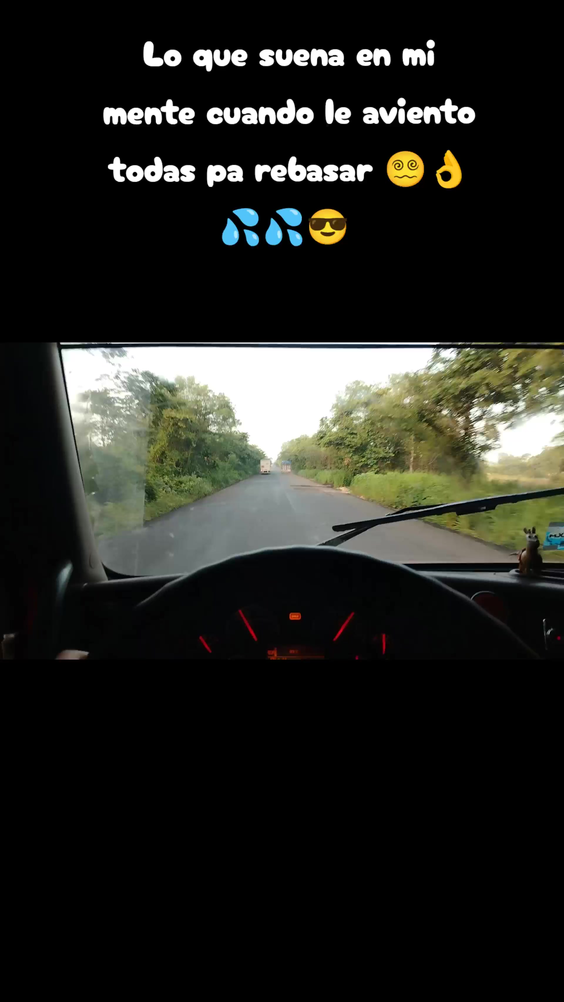 @10/28 Güero pp