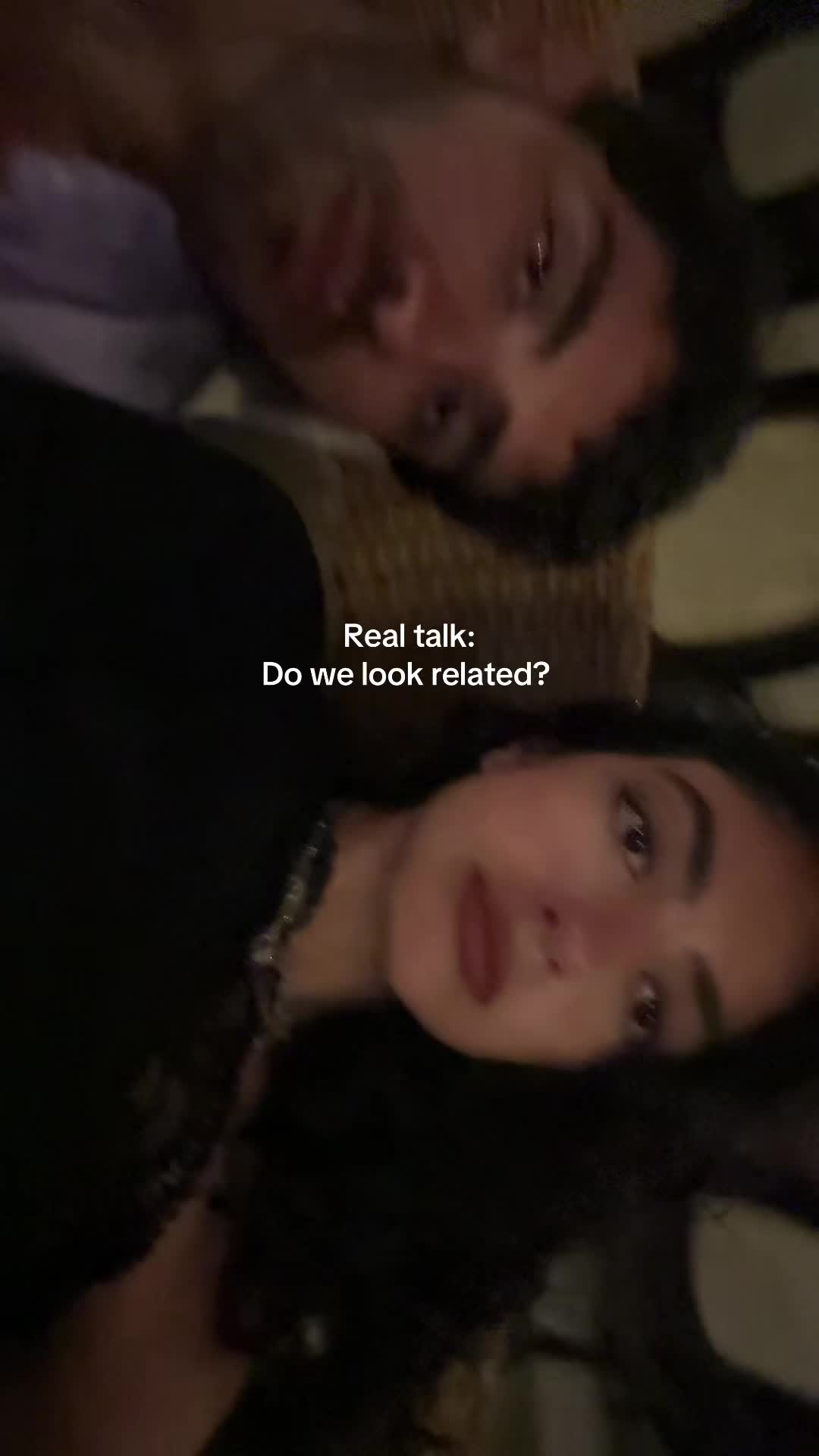 @The persian cat