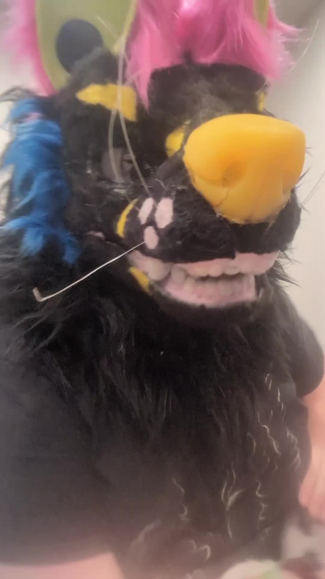 @ratdad033 (Blake)