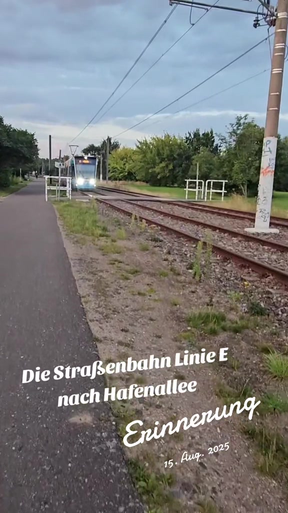 @Ronny🇩🇪🦅