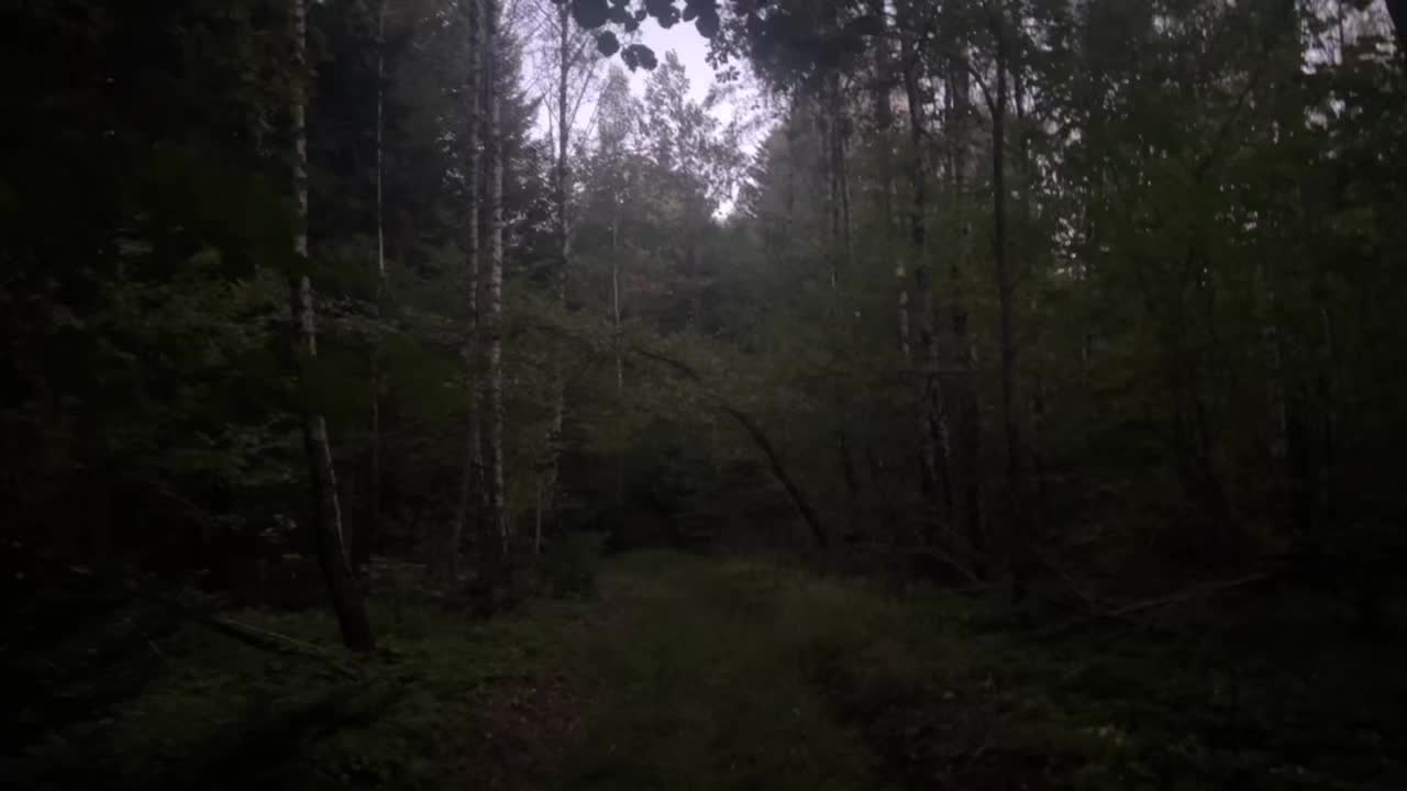 @🌲1𝔰𝔥𝔢𝔱𝔰1🌲