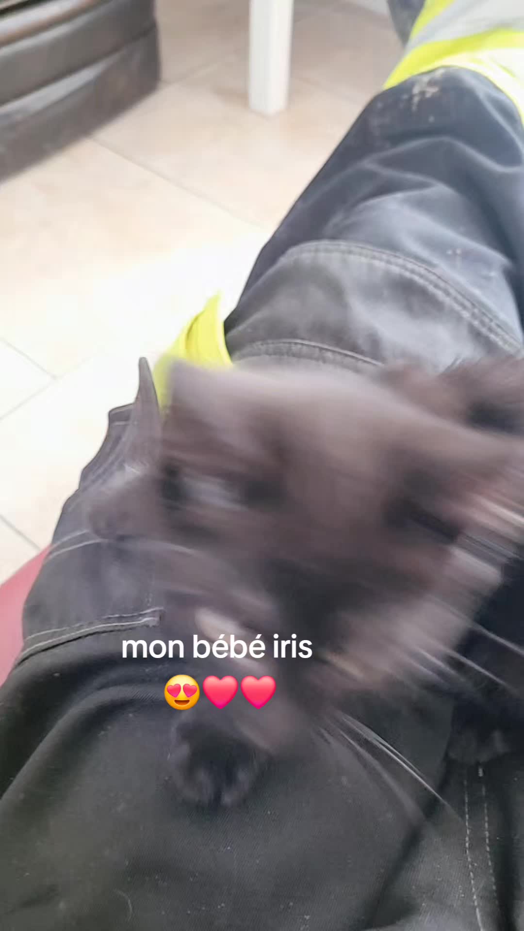 @🇧🇪🇧🇪🇧🇪demeuter