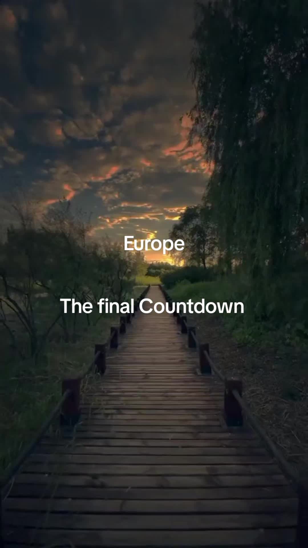 @Waldpixel