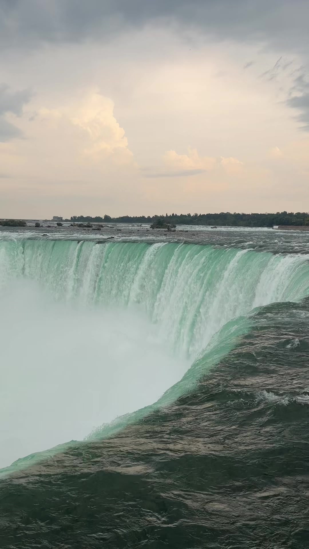 @кαятнιк 🇨🇦ѕєєиυ σffι¢ιαℓ 👑