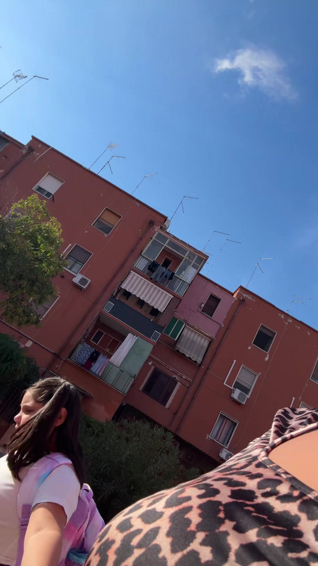 @Fef&egrave;🦋
