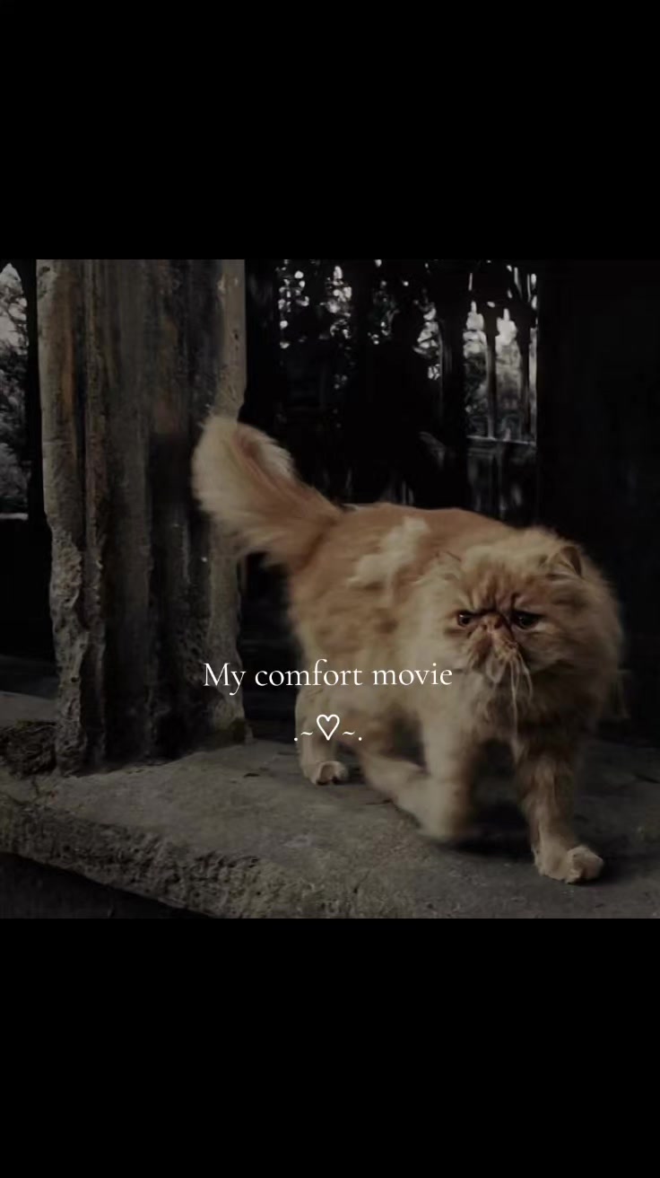 @Grand Inquisitor