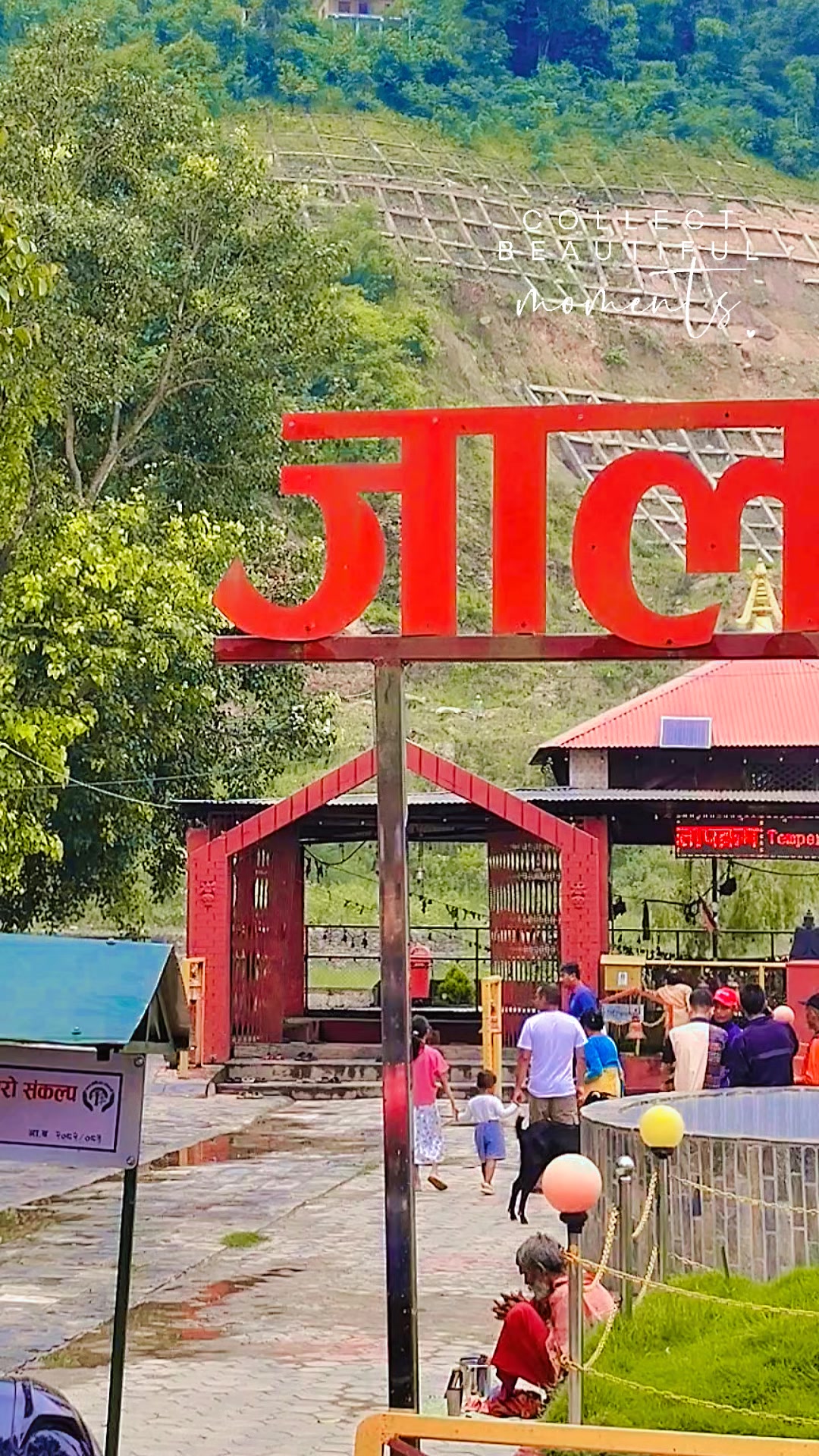 @alokrajneupane224