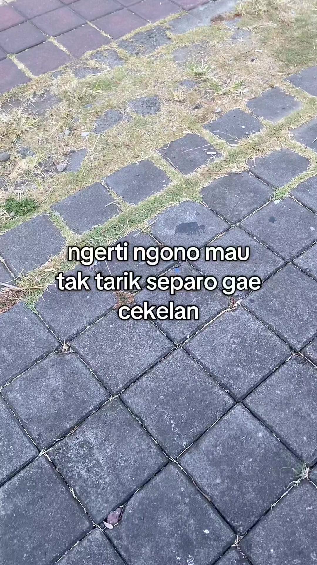 @aliell