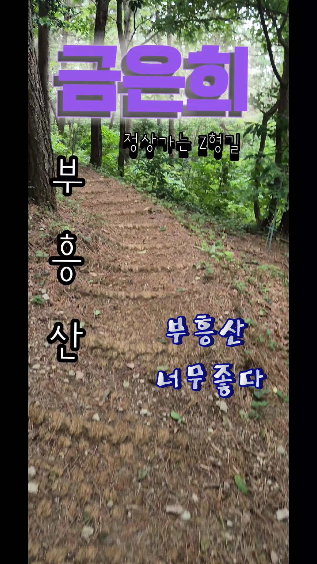 @금은희