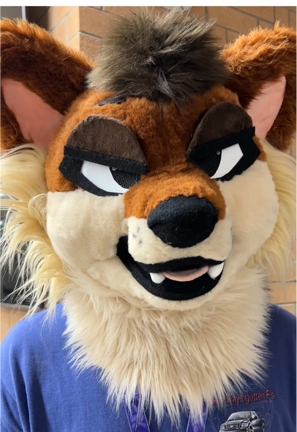 @Felix Wolf