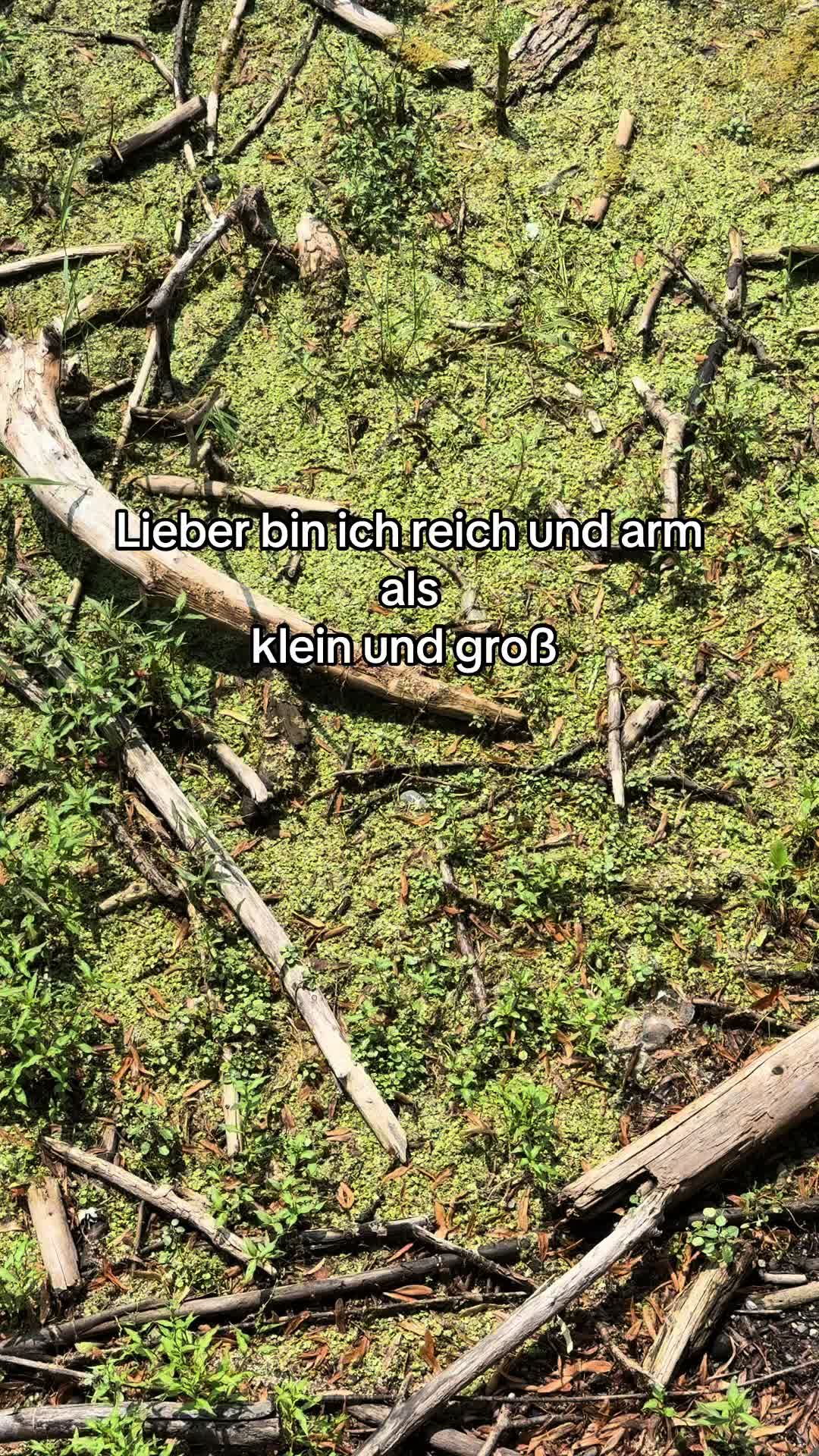@Lars Laux