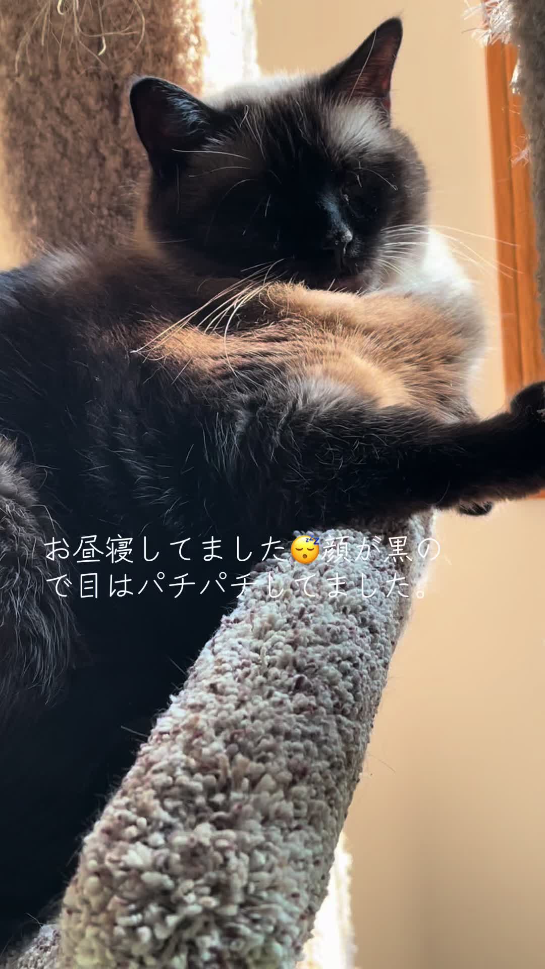 @sakurahana016