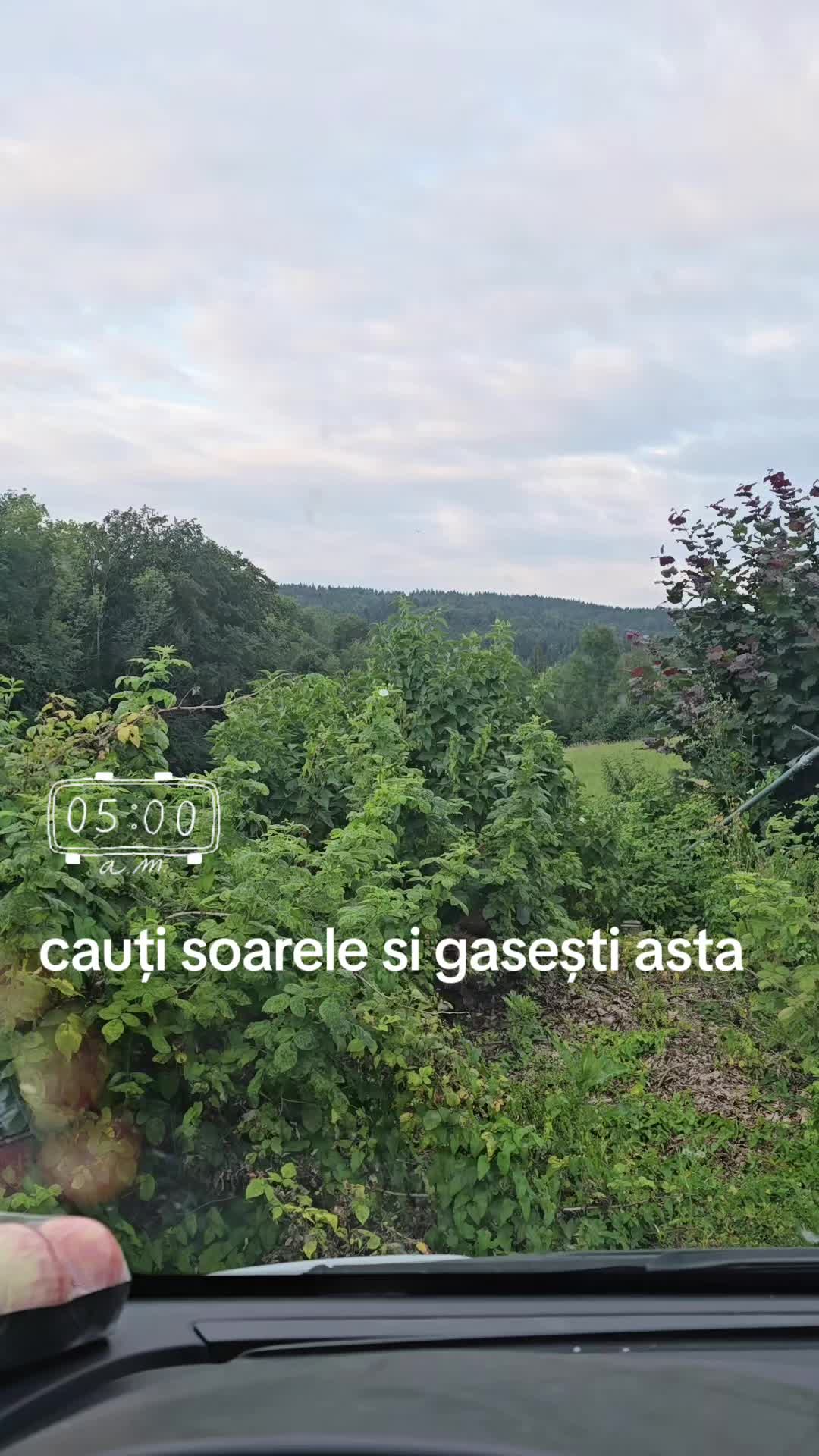@Denis Marian Zaharia