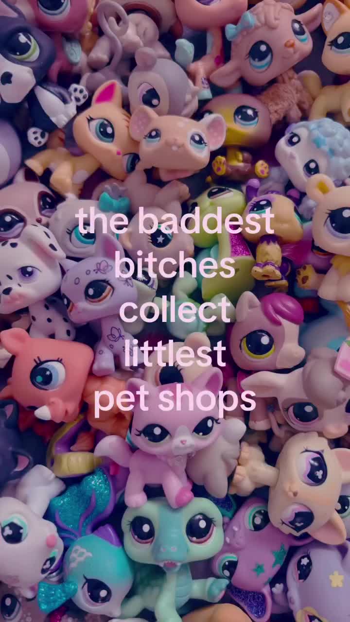 @Daily Carousels