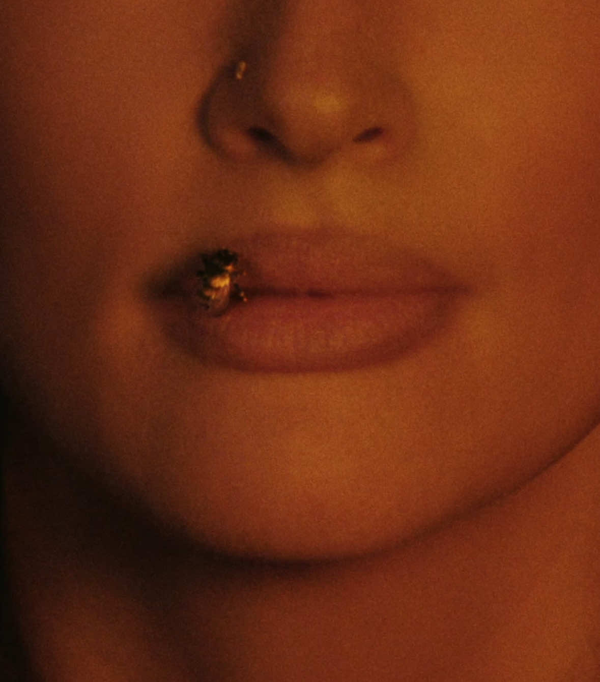 @kaceymusgraves