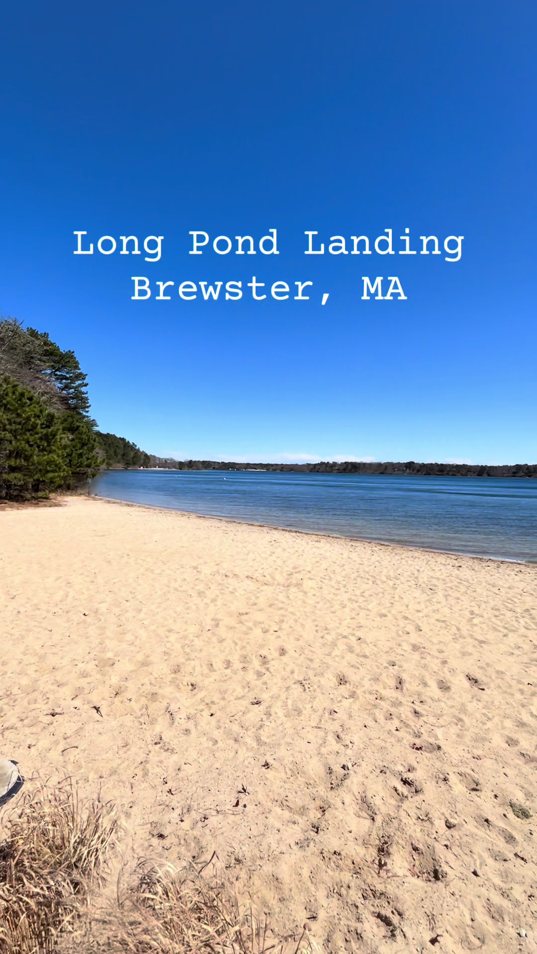 @CapeCodBeachLife