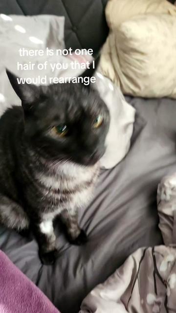 @Vee