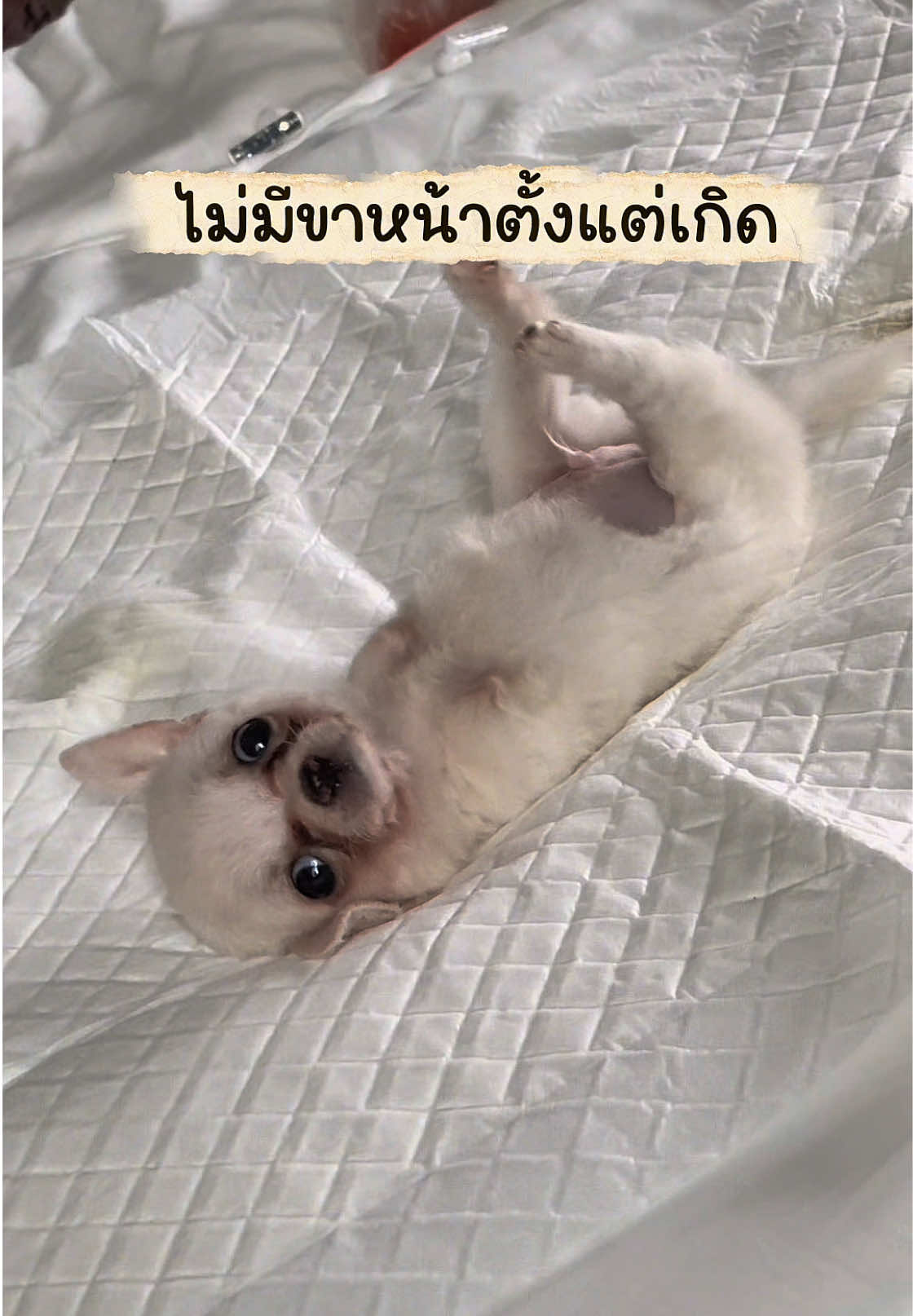 @ผมชื่อเฟิร์บ