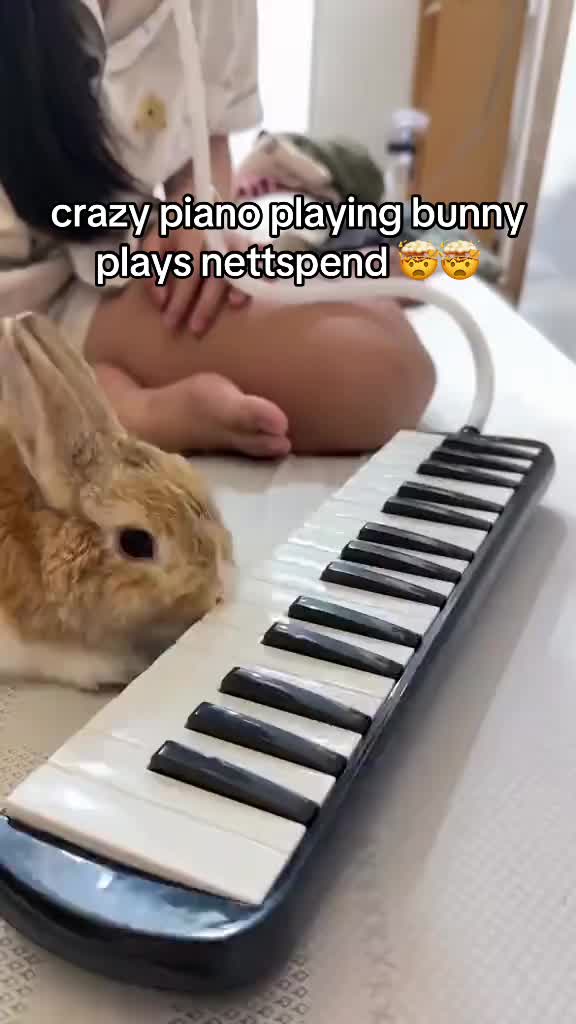 @๐๐๐จ ๐
