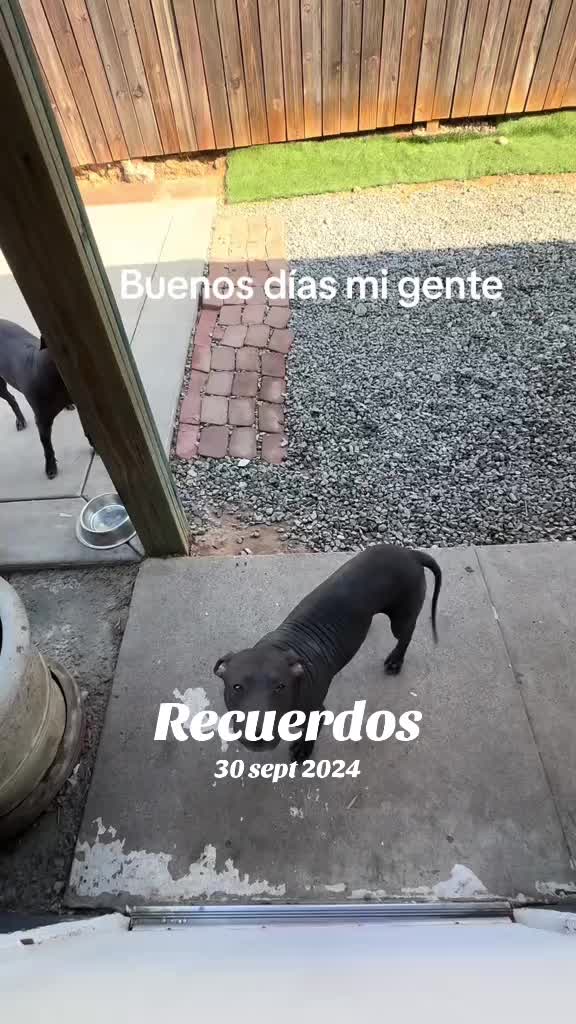 @Elcharitoopemex