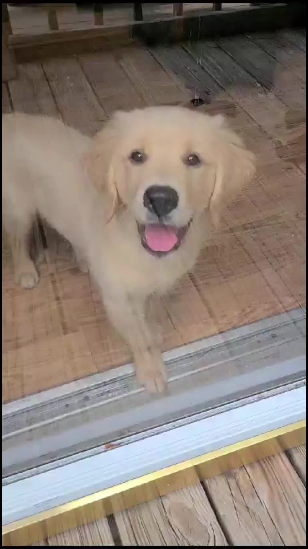 @Winnie the Golden Girly