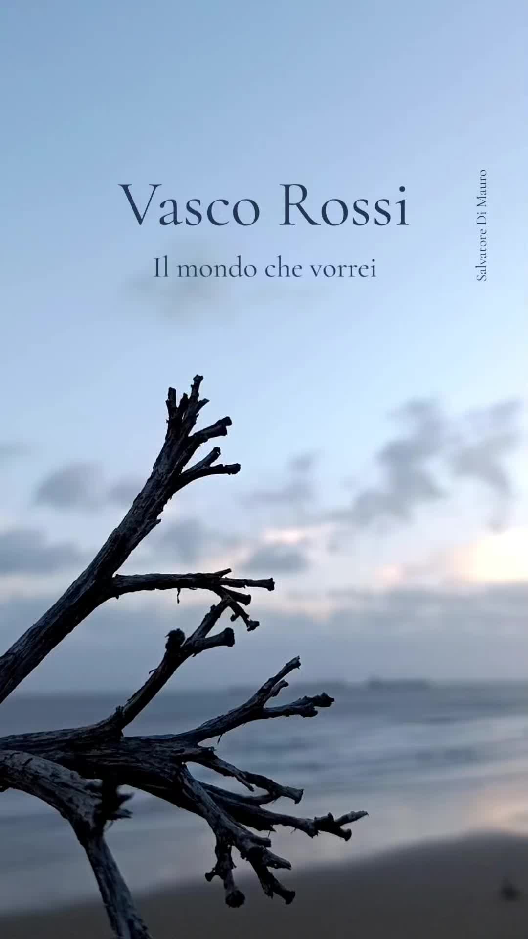 @Salvatore Di Mauro