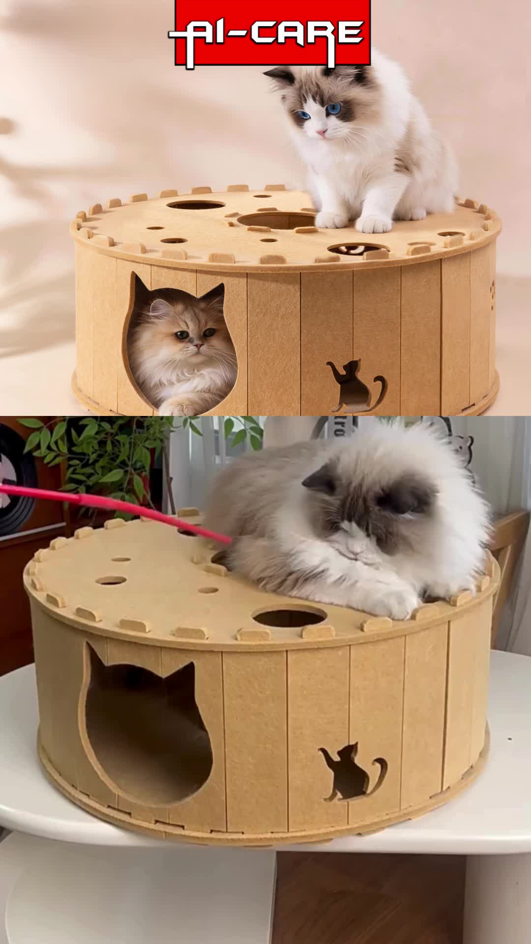 @Aicare Pet Studio