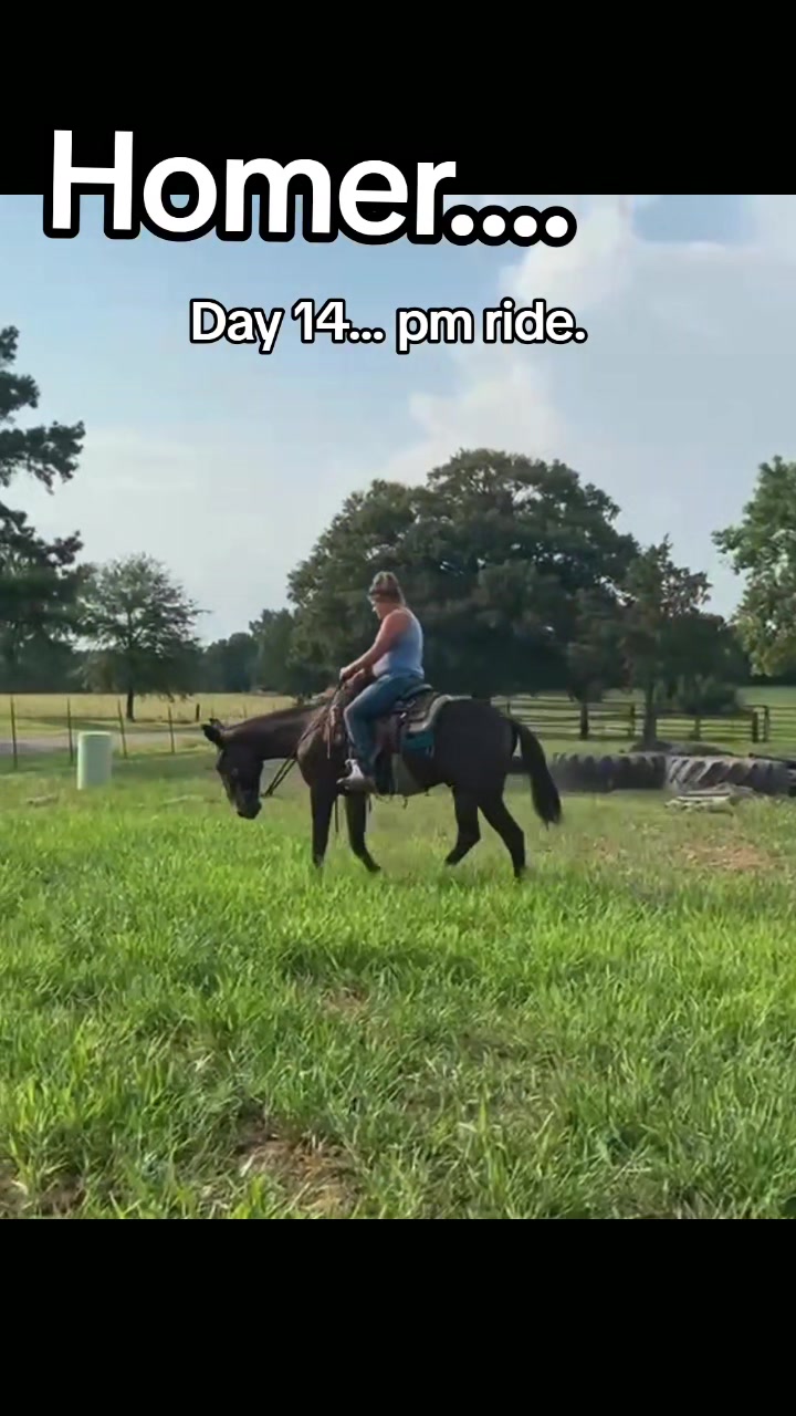 @CactusLMules