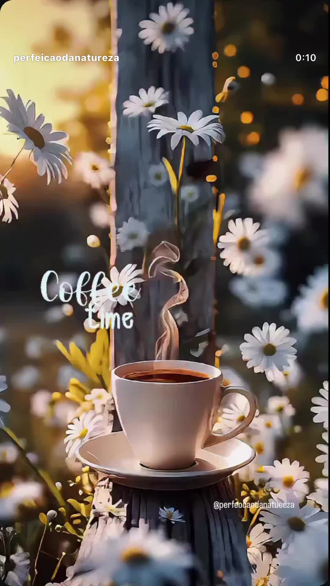 @JULIETTA AN