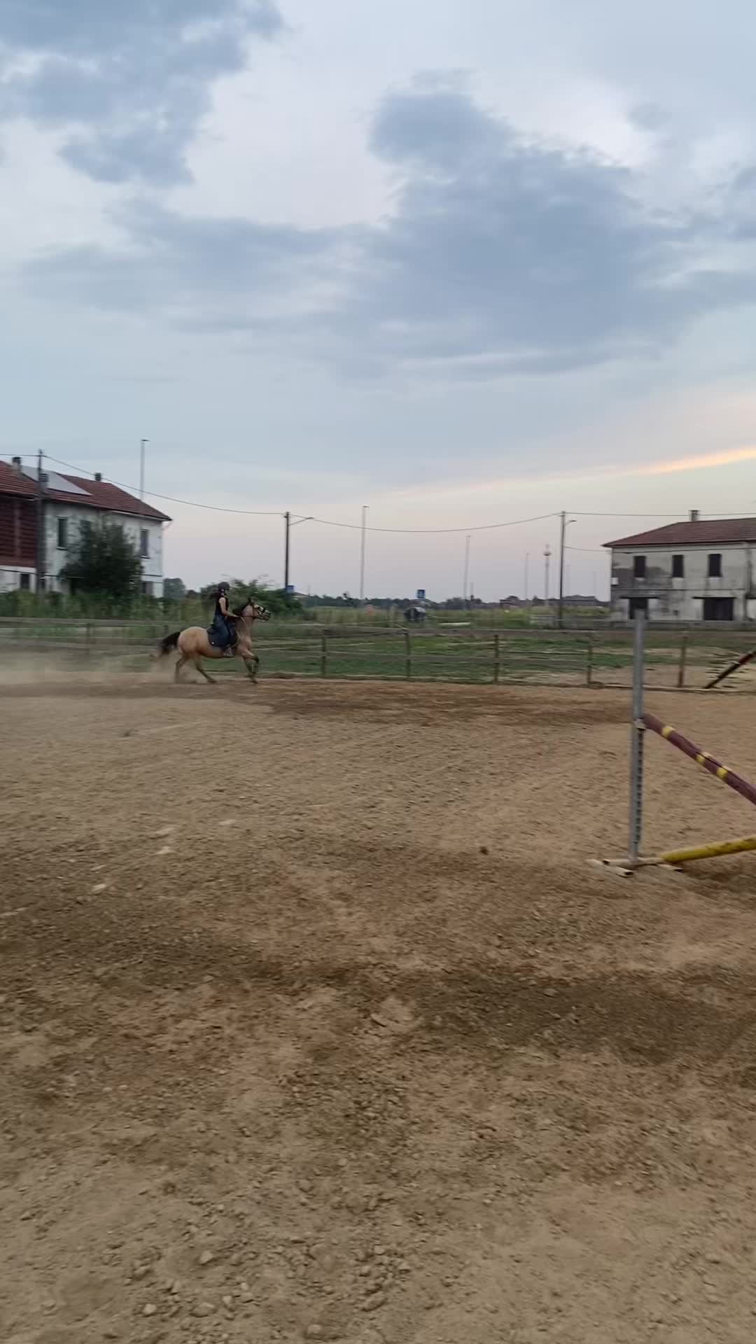 @Ponyclubilgattoelavolpe