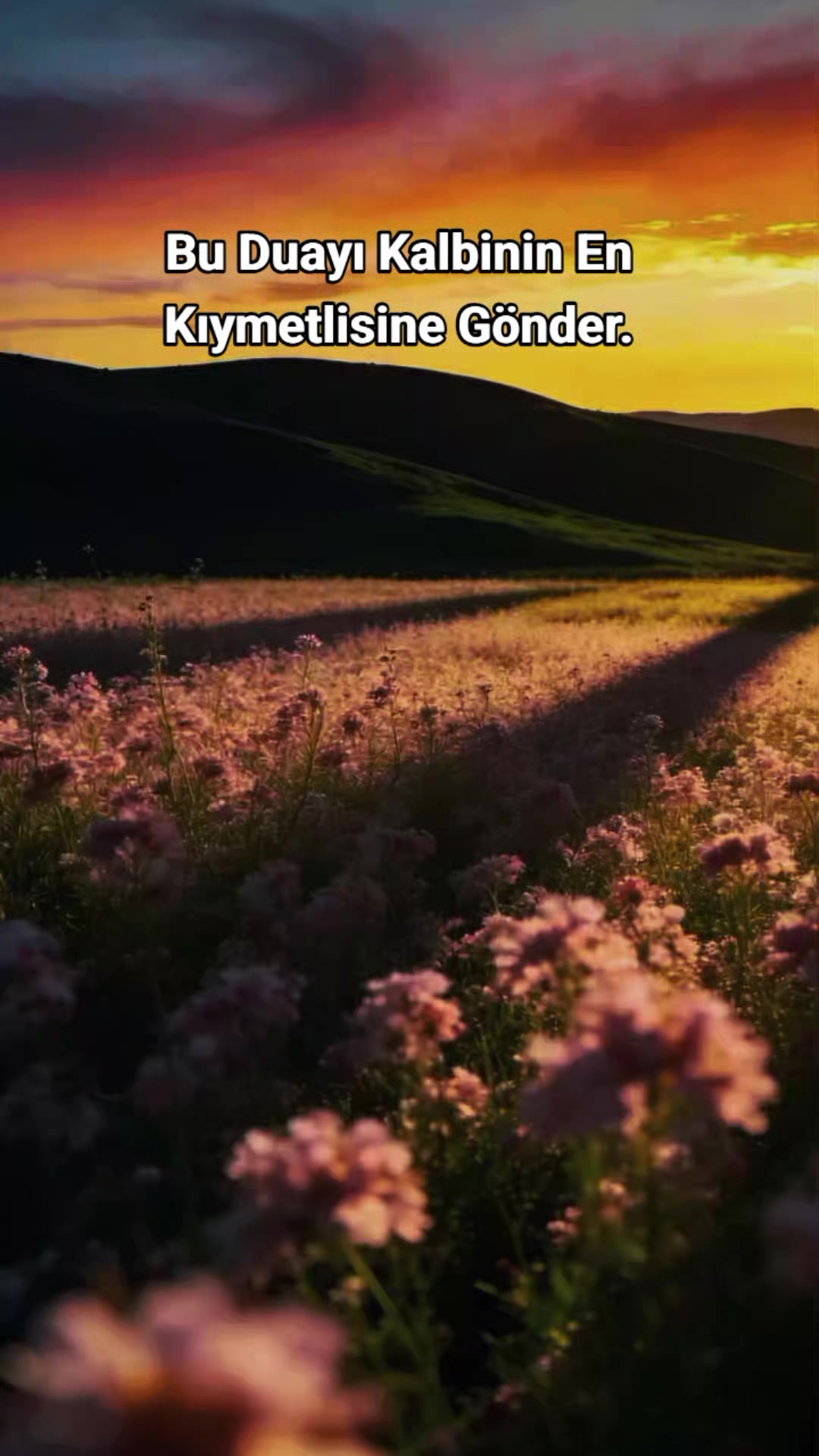 @Kur'an_ayet_hadis_ve_duâ