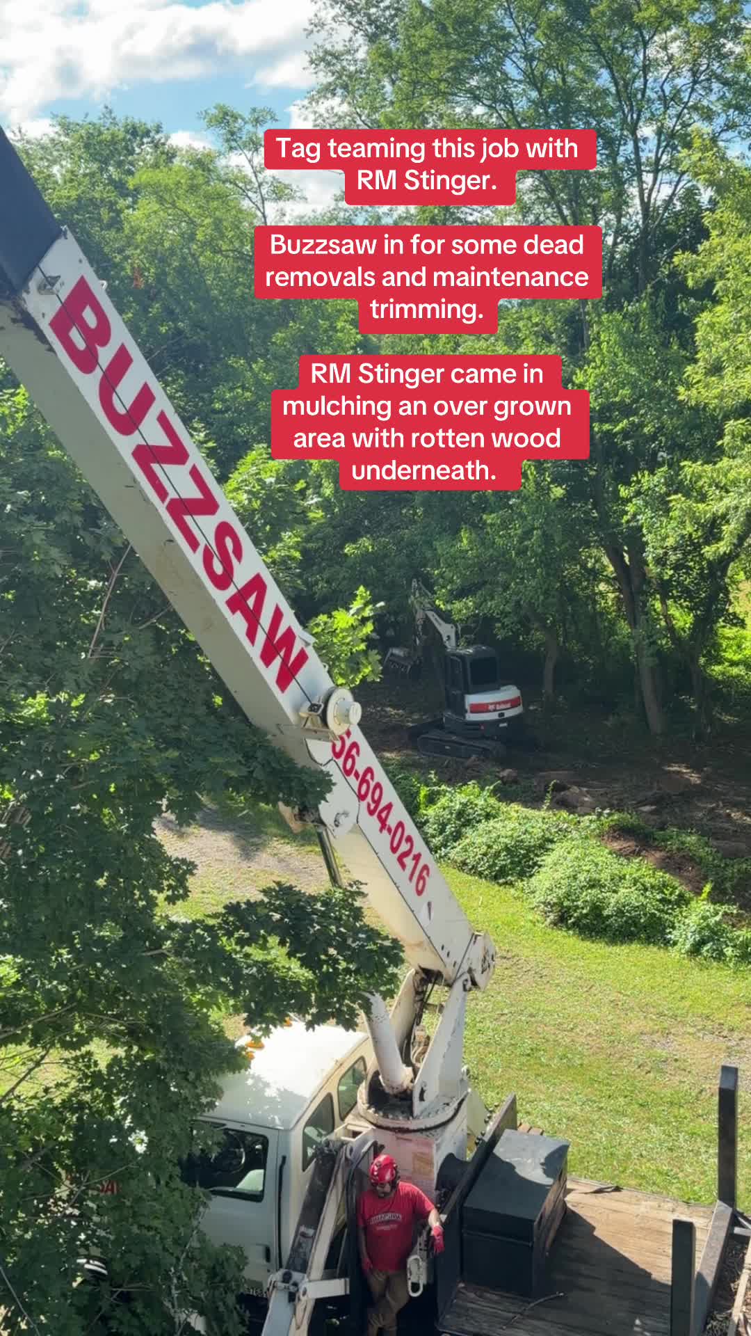 @Buzzsawtrees