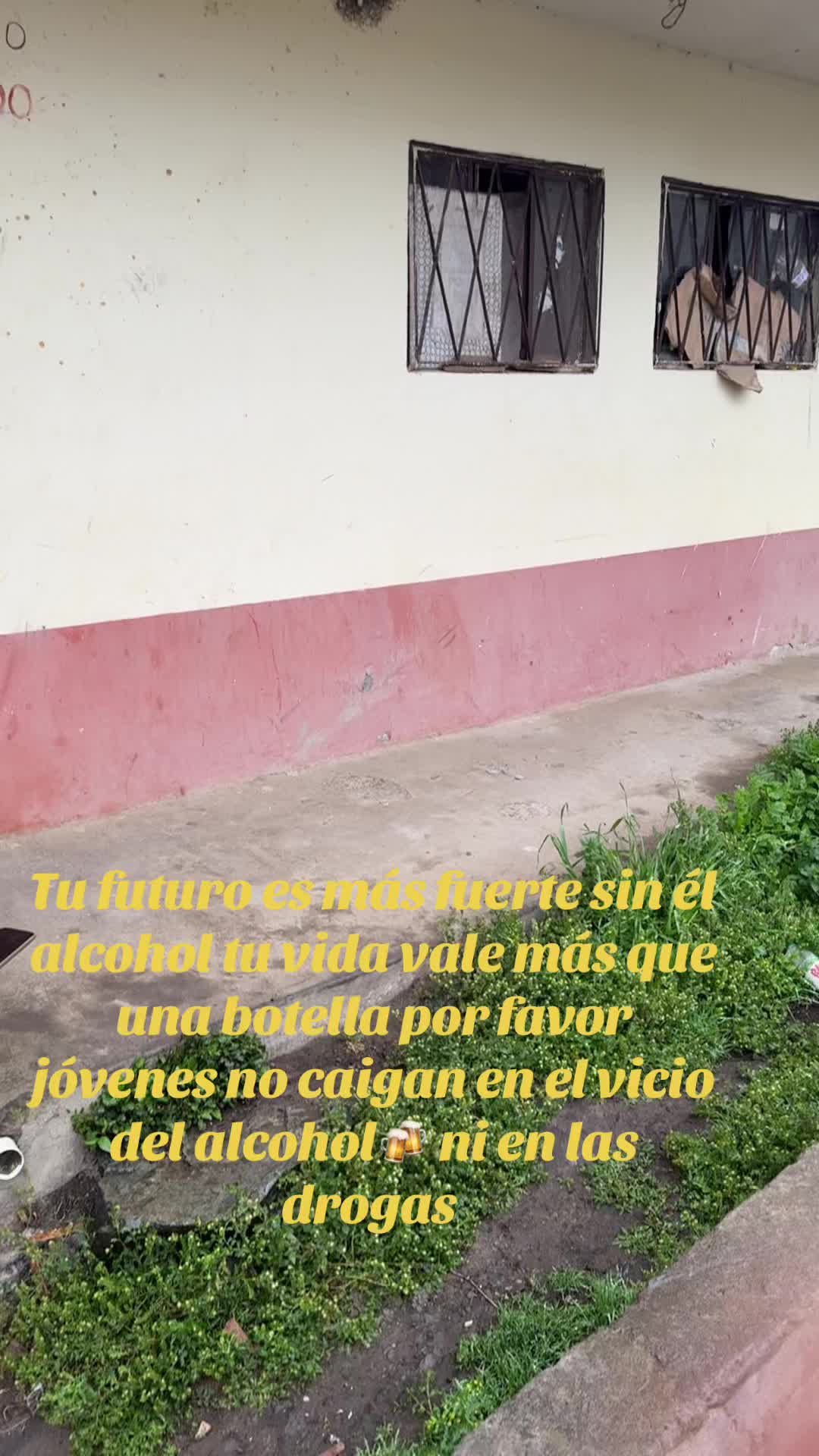 @pato🦆