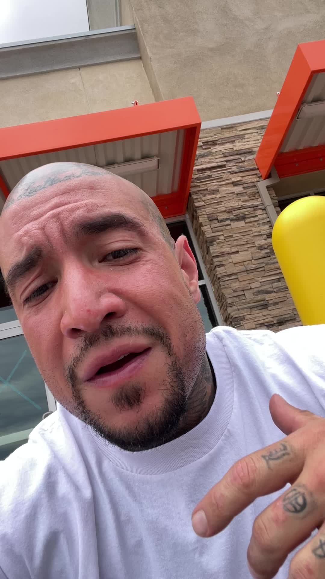 @elpelon_tatuado