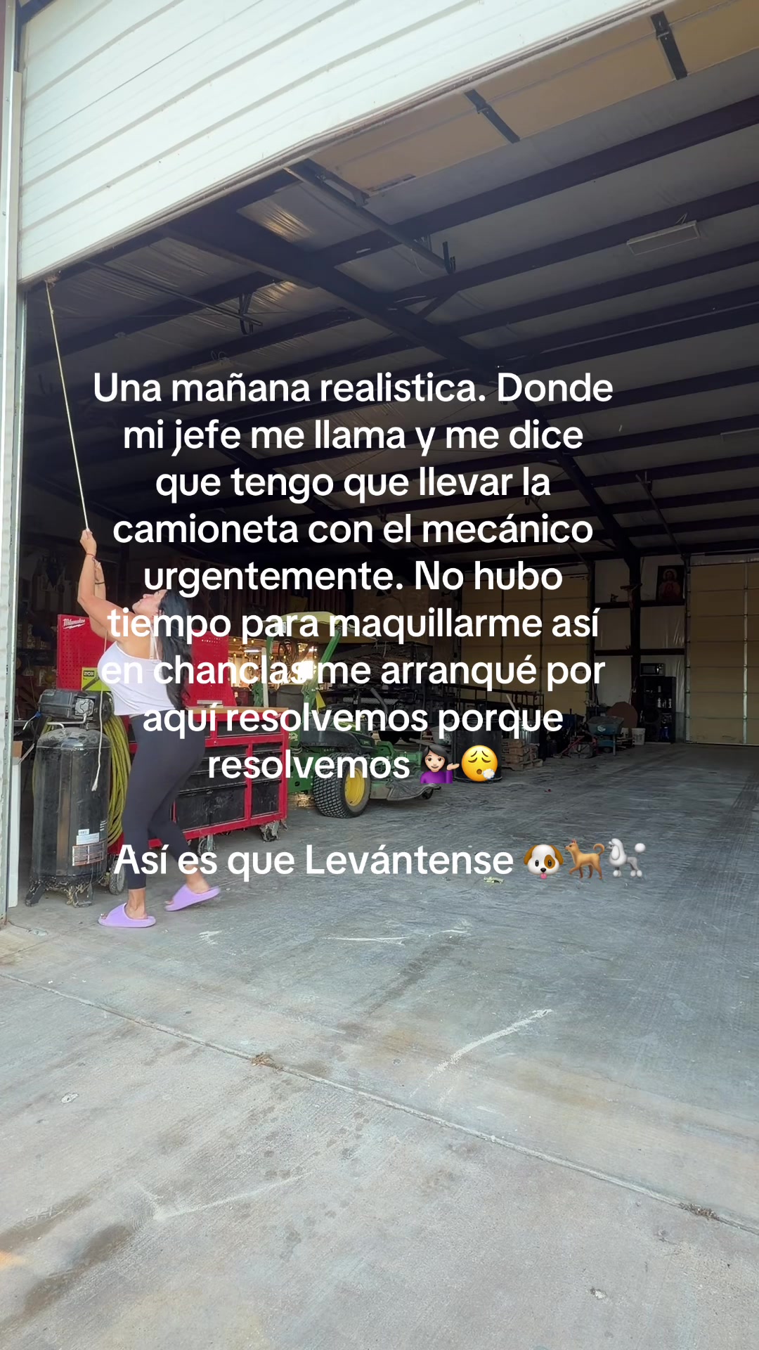 @wendyfervlogs