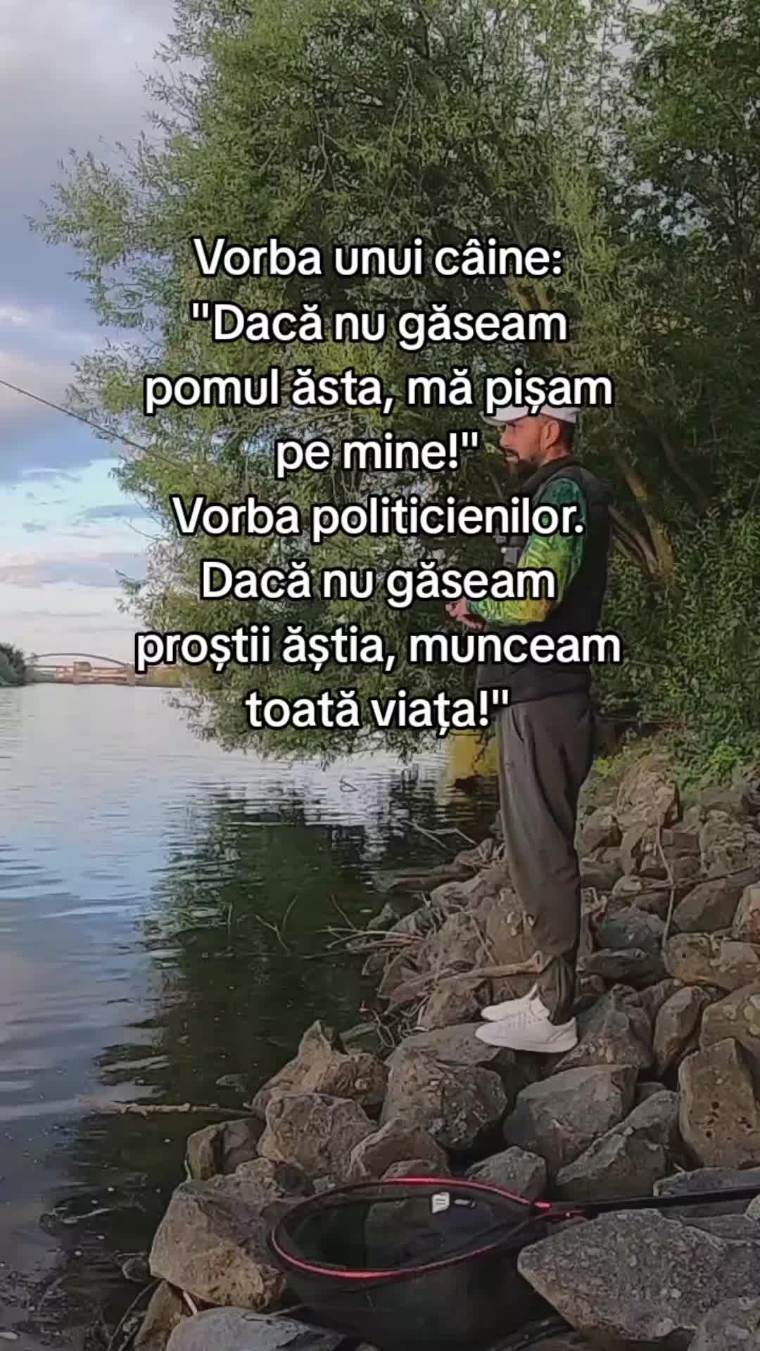 @Marius