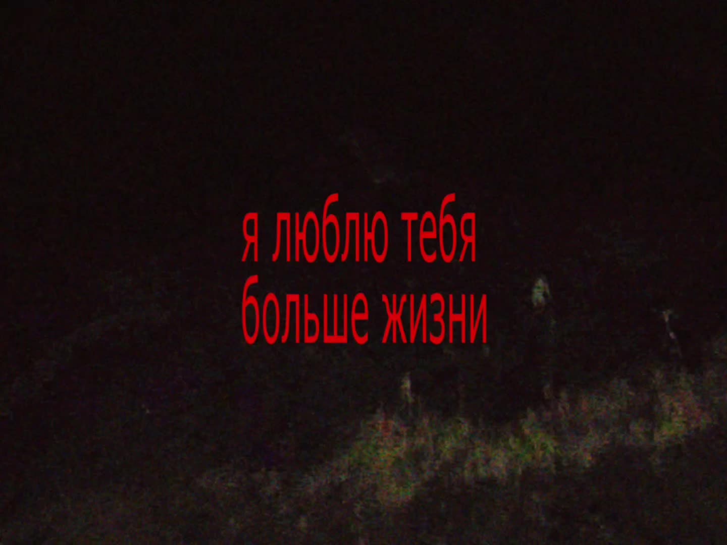 @тгк: caliniamusic