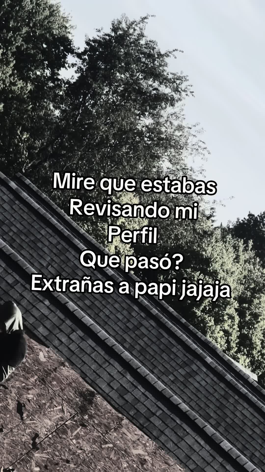 @francisco.gt5.0.2
