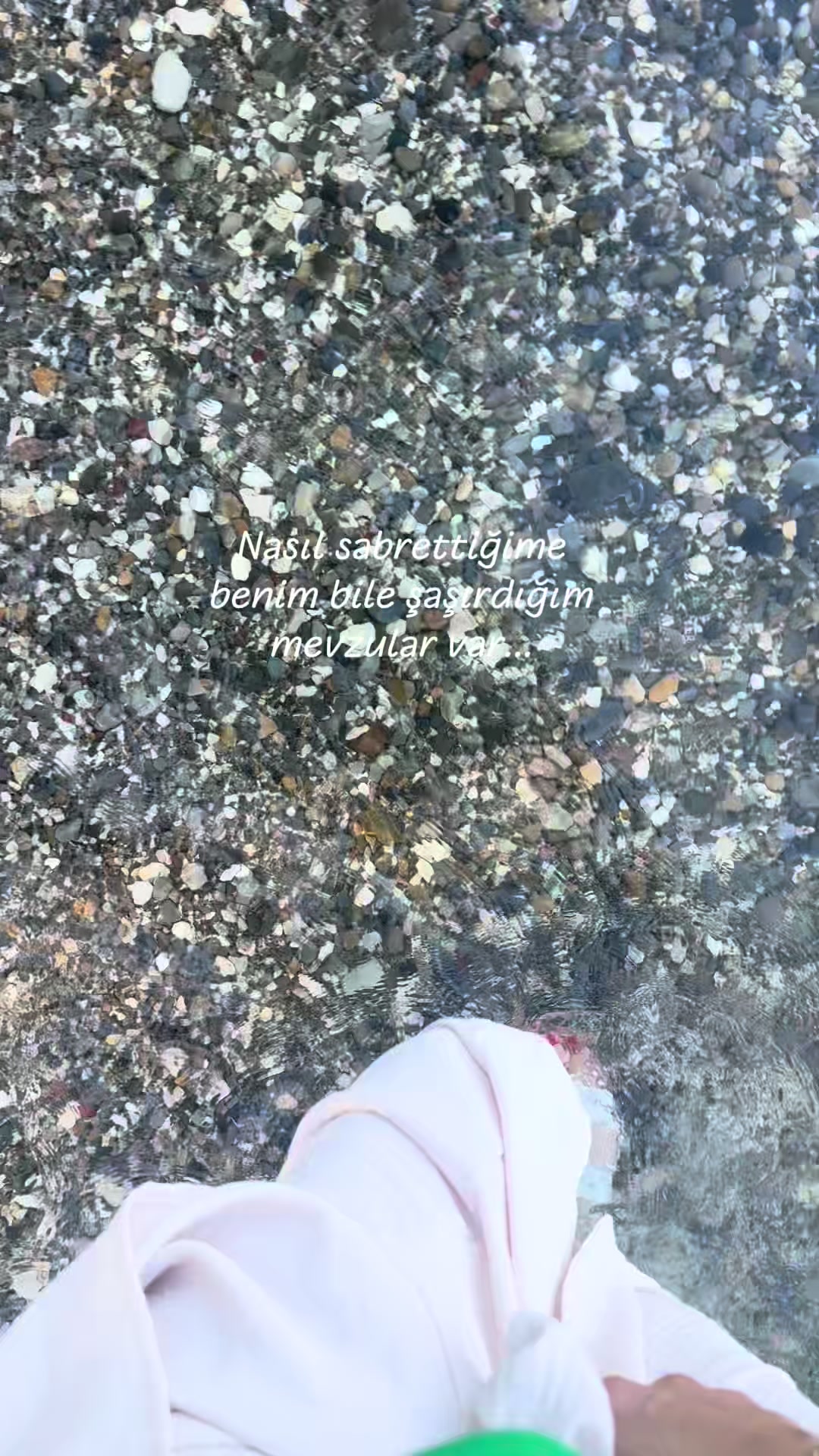 @Ay_sche🕊