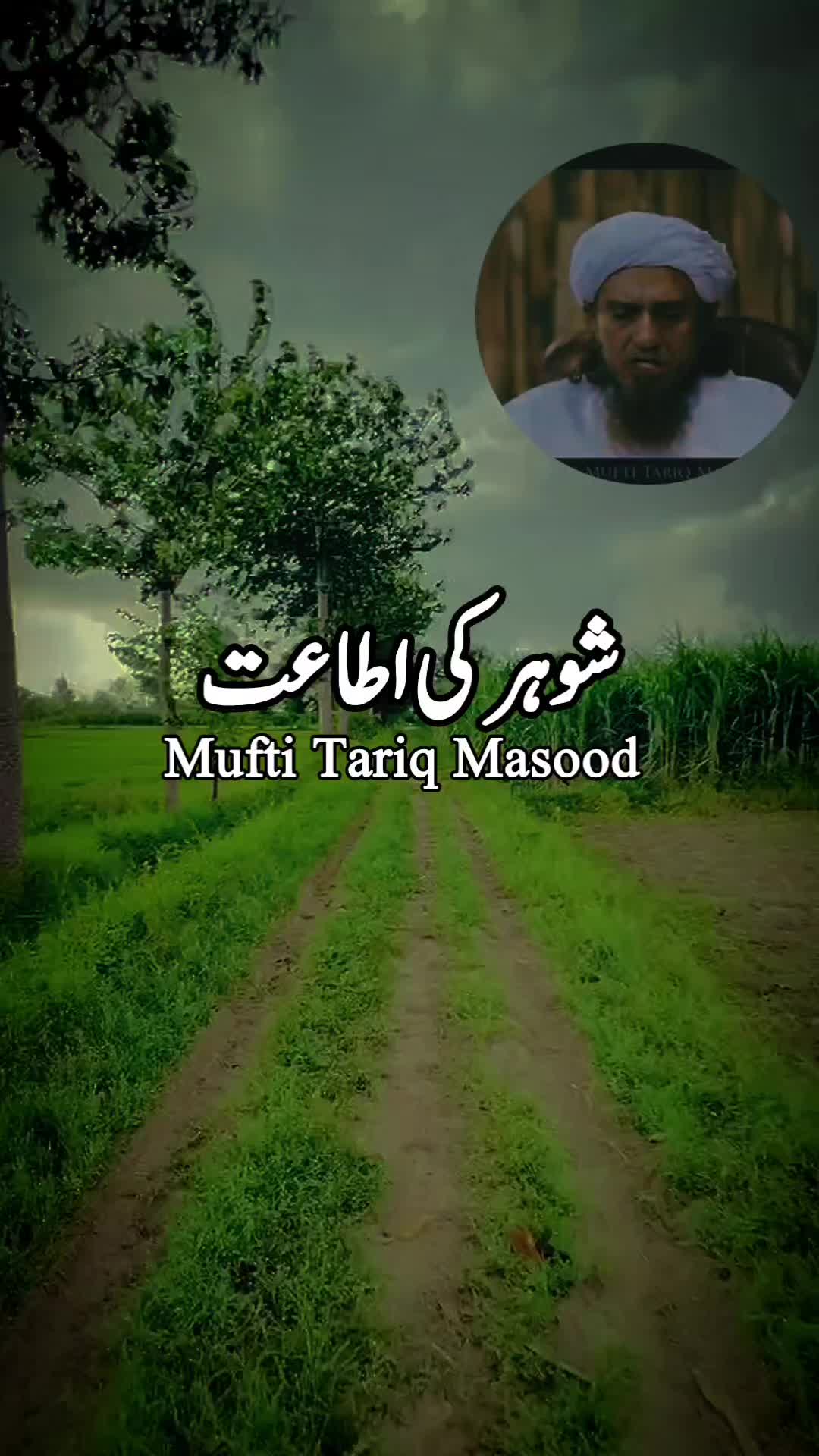 @zulfi khan