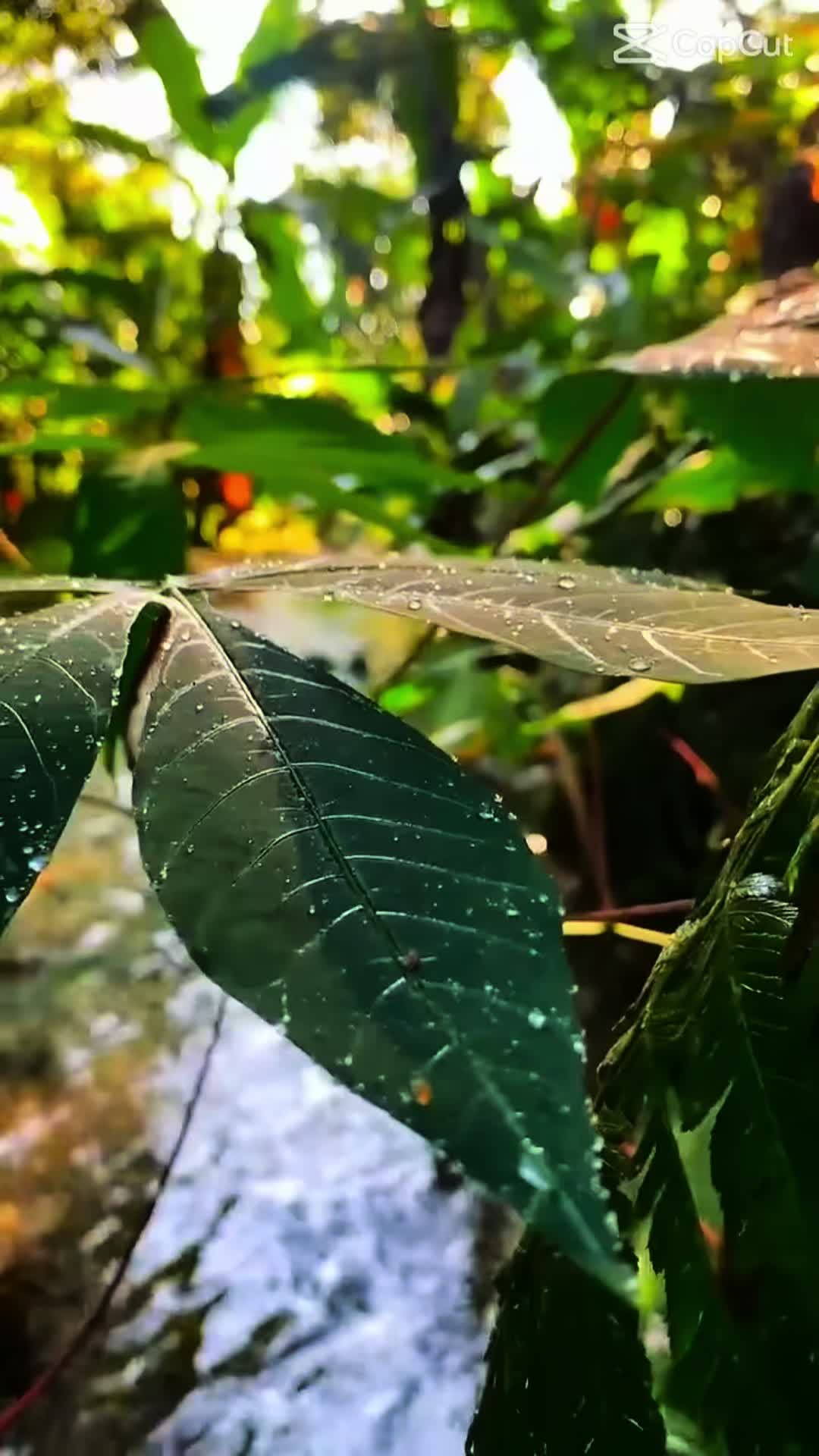 @Nathou 73🇲🇺