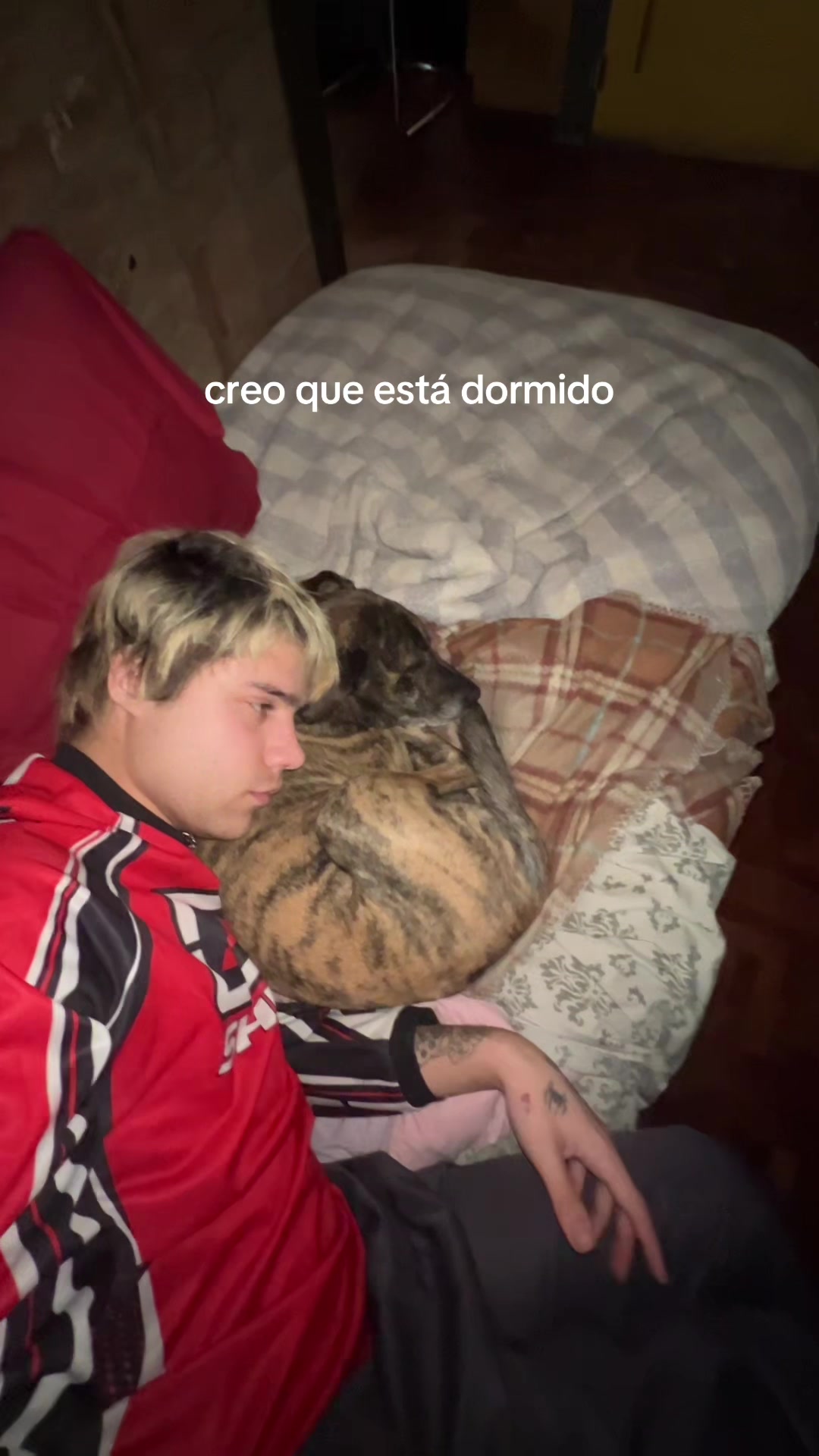 @padipadawvn