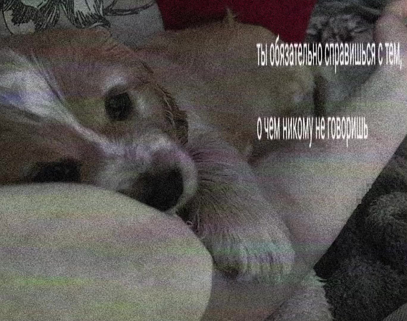 @нася к0рвалол