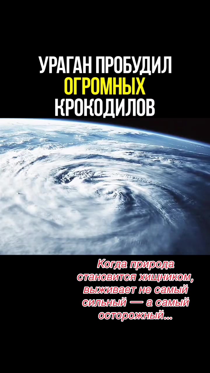 @avengers.kino