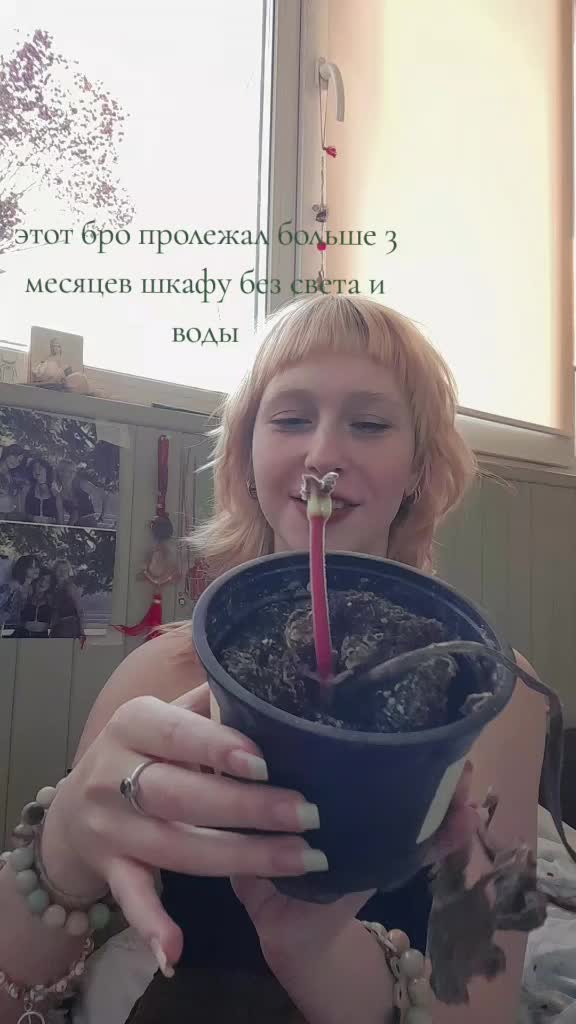 @трaвoкурка хулиганка