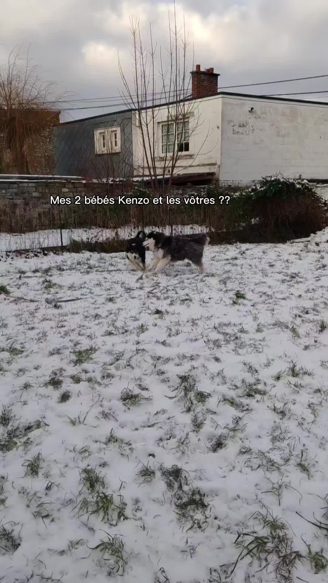 @mllefl0ow๐๐๐
