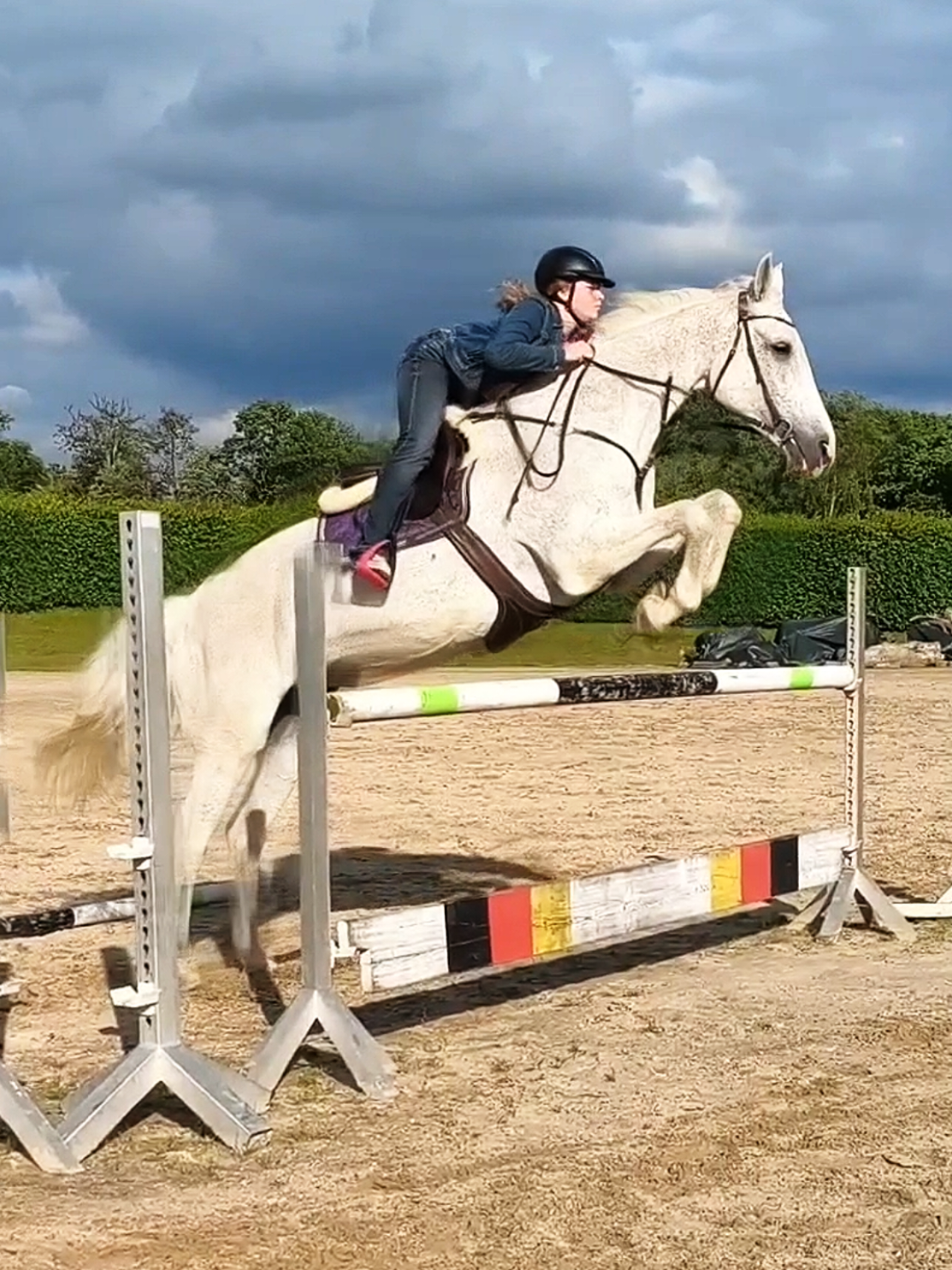 @Spring"Pony"Casha