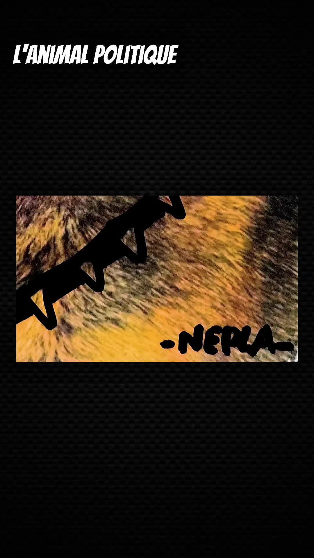 @Nepla l'animal politique🐊