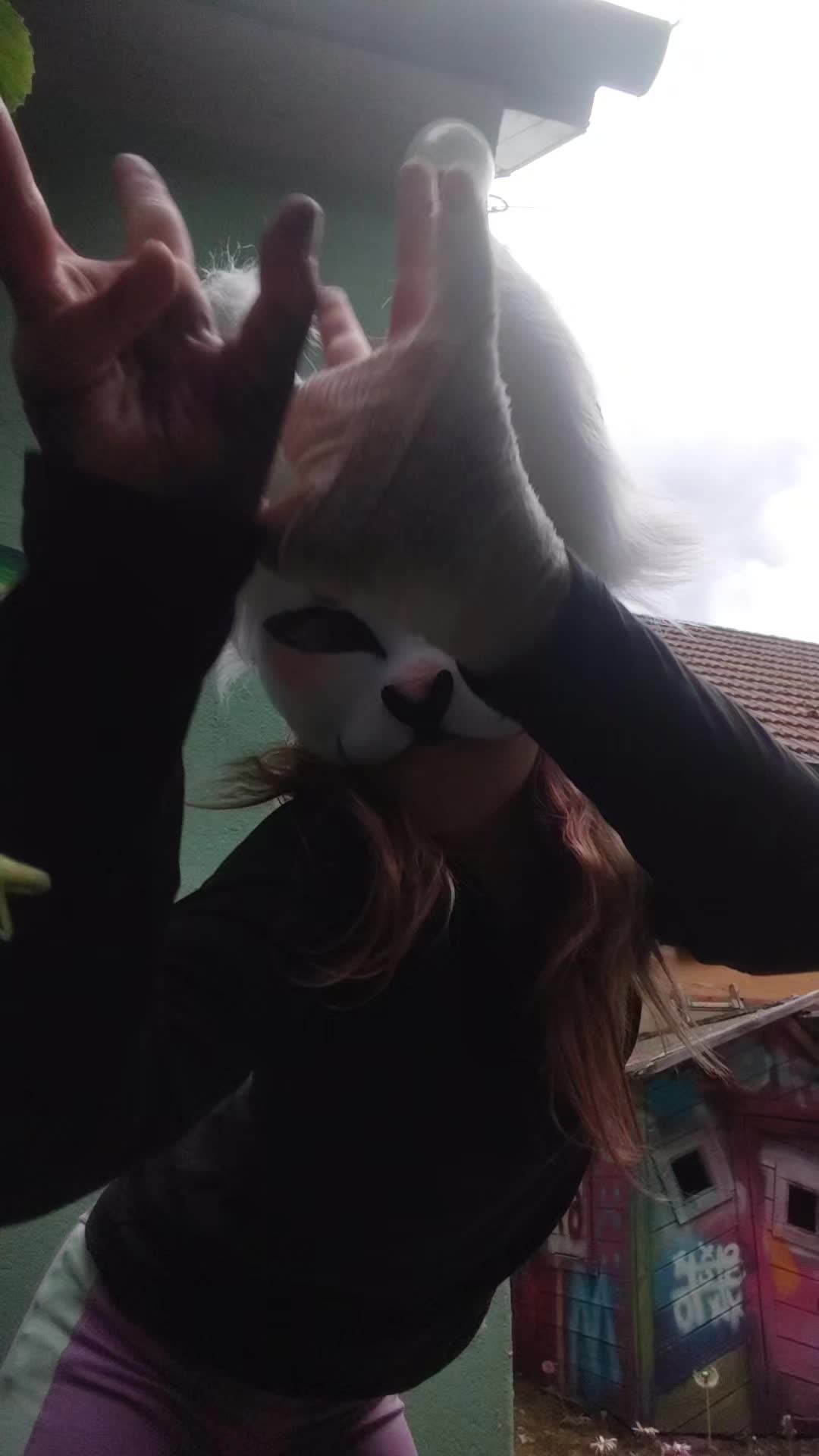 @🦴🐾♡⭒𝐹ℴxᥡ⭒♡🌀💿