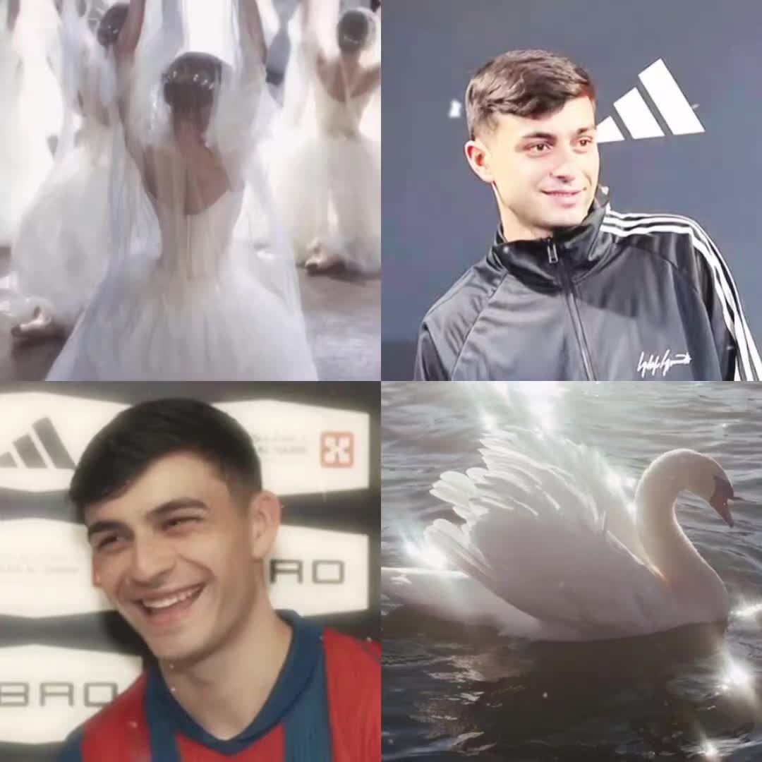 @Fedri